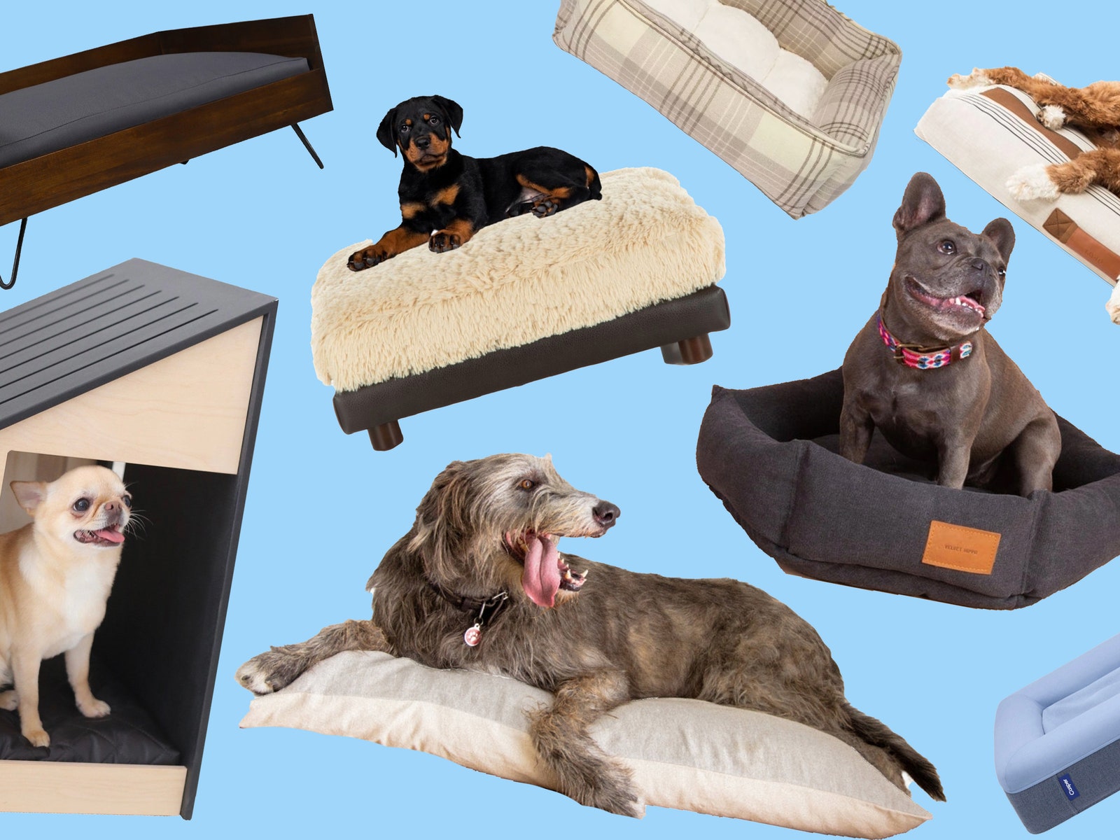 The Best-Looking Dog Beds for Your Furry Best Friend